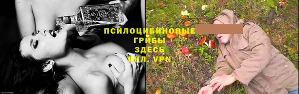мет Протвино