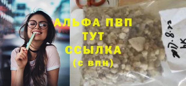 прущие грибы Приозерск