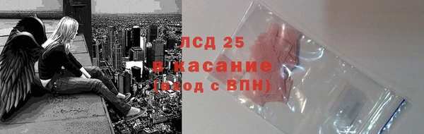 прущие грибы Приозерск