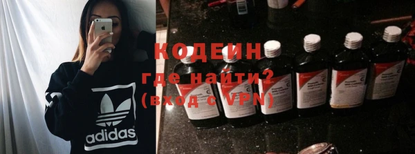 прущие грибы Приозерск