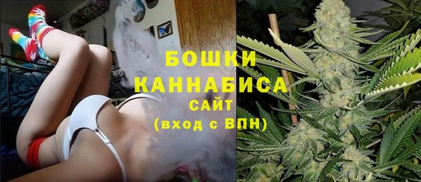 ГАЛЛЮЦИНОГЕННЫЕ ГРИБЫ Балабаново