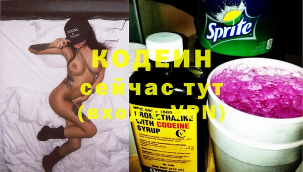 мет Протвино