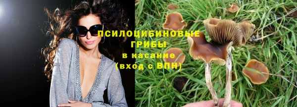 ГАЛЛЮЦИНОГЕННЫЕ ГРИБЫ Баксан