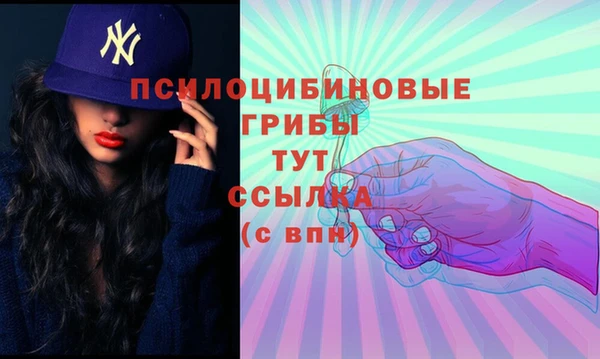 прущие грибы Приозерск