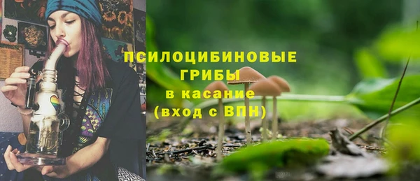 прущие грибы Приозерск