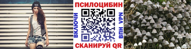 Галлюциногенные грибы прущие грибы  закладка  Красный Кут 